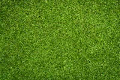 Artificial Grass Installer